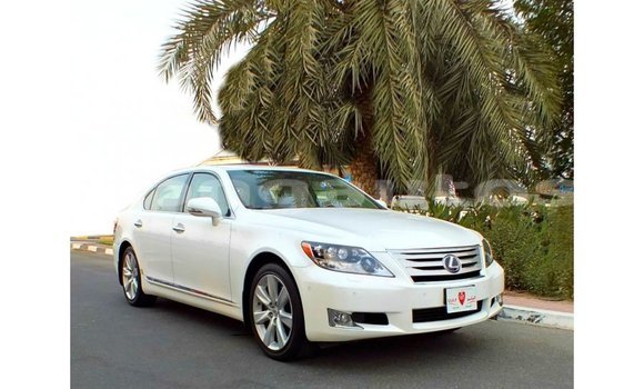 Buy Import Lexus LS White Car in Import - Dubai in Enga Buy Import Lexus LS White Car in Import - Dubai in Enga