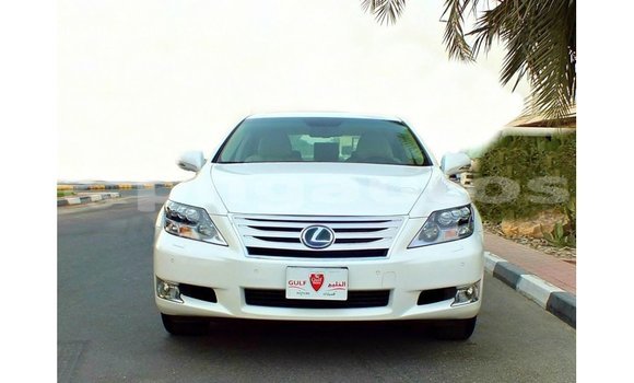 Buy Import Lexus LS White Car in Import - Dubai in Enga Buy Import Lexus LS White Car in Import - Dubai in Enga