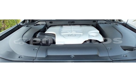 Buy Import Lexus LX Other Car in Import - Dubai in Enga Buy Import Lexus LX Other Car in Import - Dubai in Enga