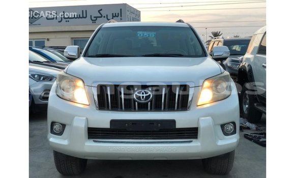 Buy Import Toyota Prado White Car in Import - Dubai in Enga Buy Import Toyota Prado White Car in Import - Dubai in Enga