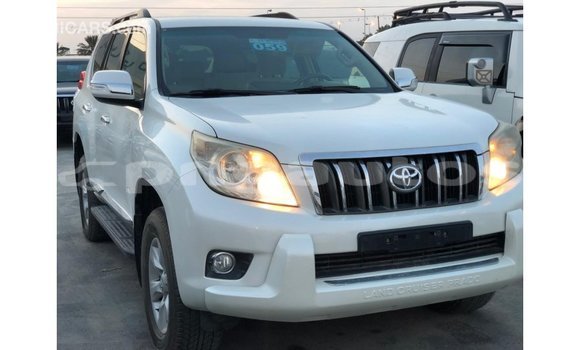 Buy Import Toyota Prado White Car in Import - Dubai in Enga Buy Import Toyota Prado White Car in Import - Dubai in Enga