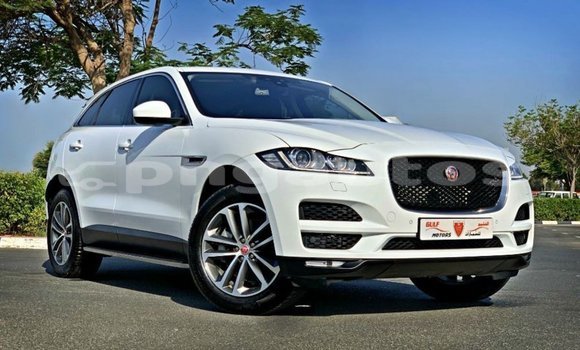 Buy Import Jaguar F-Pace White Car in Import - Dubai in Enga