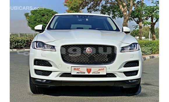 Buy Import Jaguar F-Pace White Car in Import - Dubai in Enga Buy Import Jaguar F-Pace White Car in Import - Dubai in Enga