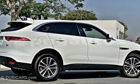 Buy Import Jaguar F-Pace White Car in Import - Dubai in Enga Buy Import Jaguar F-Pace White Car in Import - Dubai in Enga