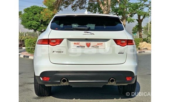 Buy Import Jaguar F-Pace White Car in Import - Dubai in Enga Buy Import Jaguar F-Pace White Car in Import - Dubai in Enga