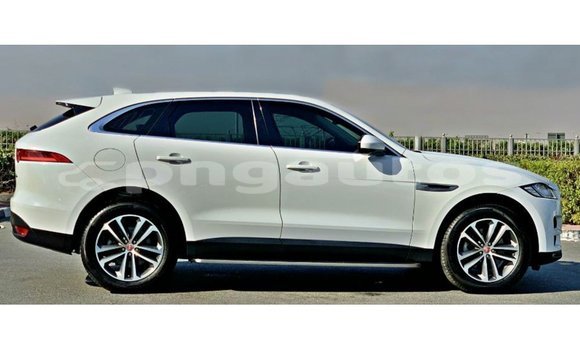 Buy Import Jaguar F-Pace White Car in Import - Dubai in Enga Buy Import Jaguar F-Pace White Car in Import - Dubai in Enga