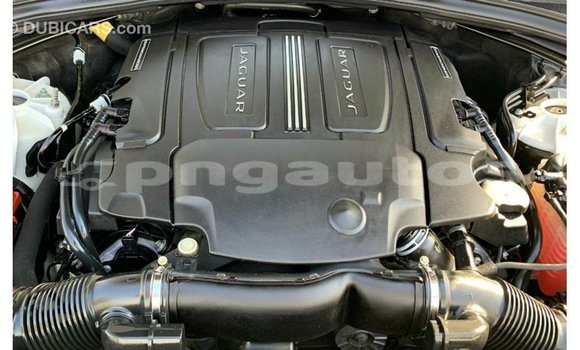 Buy Import Jaguar F-Pace White Car in Import - Dubai in Enga Buy Import Jaguar F-Pace White Car in Import - Dubai in Enga