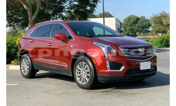 Buy Import Cadillac XT5 Red Car in Import - Dubai in Enga