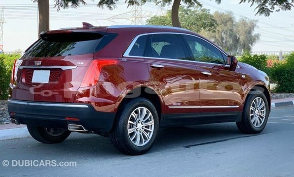 Buy Import Cadillac XT5 Red Car in Import - Dubai in Enga Buy Import Cadillac XT5 Red Car in Import - Dubai in Enga