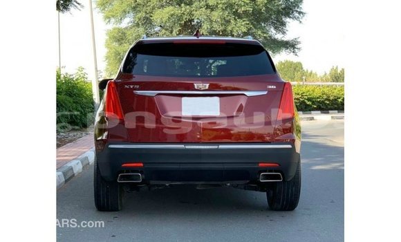 Buy Import Cadillac XT5 Red Car in Import - Dubai in Enga Buy Import Cadillac XT5 Red Car in Import - Dubai in Enga