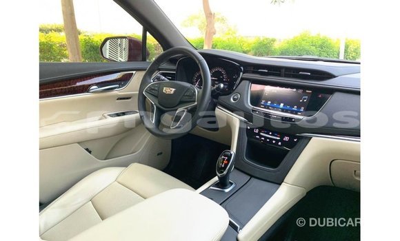 Buy Import Cadillac XT5 Red Car in Import - Dubai in Enga Buy Import Cadillac XT5 Red Car in Import - Dubai in Enga