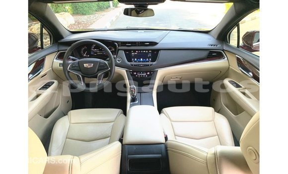 Buy Import Cadillac XT5 Red Car in Import - Dubai in Enga Buy Import Cadillac XT5 Red Car in Import - Dubai in Enga