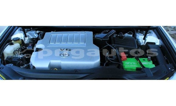 Buy Import Toyota Avalon Other Car in Import - Dubai in Enga Buy Import Toyota Avalon Other Car in Import - Dubai in Enga