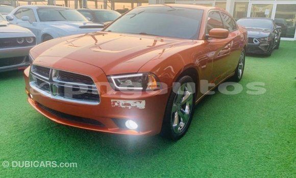 Buy Import Dodge Charger Other Car in Import - Dubai in Enga Buy Import Dodge Charger Other Car in Import - Dubai in Enga