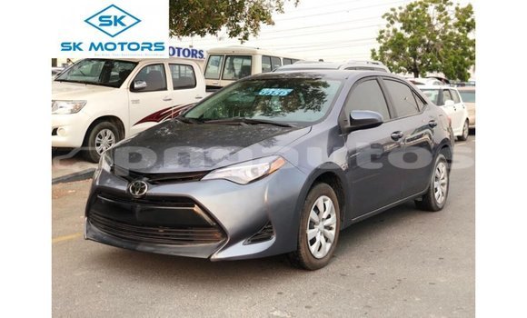 Buy Import Toyota Corolla Other Car in Import - Dubai in Enga