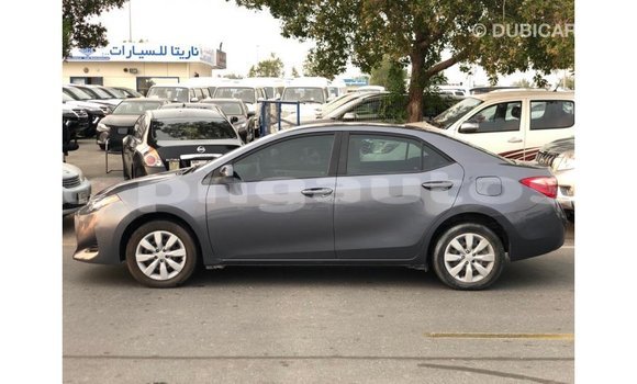 Buy Import Toyota Corolla Other Car in Import - Dubai in Enga Buy Import Toyota Corolla Other Car in Import - Dubai in Enga