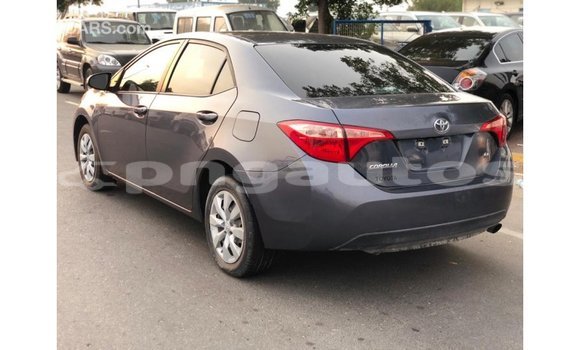 Buy Import Toyota Corolla Other Car in Import - Dubai in Enga Buy Import Toyota Corolla Other Car in Import - Dubai in Enga