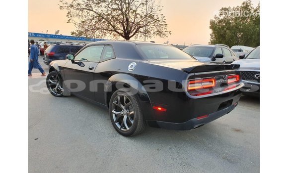 Buy Import Dodge Challenger Black Car in Import - Dubai in Enga Buy Import Dodge Challenger Black Car in Import - Dubai in Enga