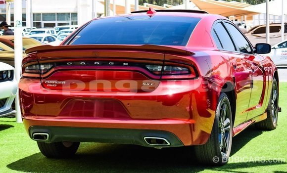 Buy Import Dodge Charger Red Car in Import - Dubai in Enga Buy Import Dodge Charger Red Car in Import - Dubai in Enga