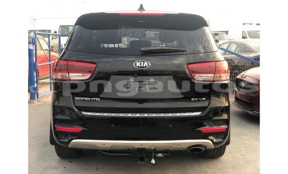 Buy Import Kia Sorento Black Car in Import - Dubai in Enga Buy Import Kia Sorento Black Car in Import - Dubai in Enga