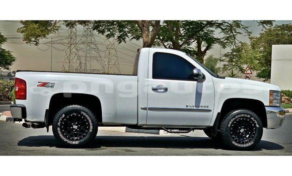 Buy Import Chevrolet Silverado White Car in Import - Dubai in Enga Buy Import Chevrolet Silverado White Car in Import - Dubai in Enga