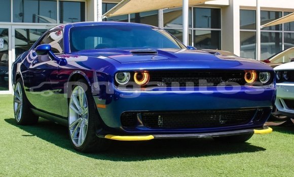 Buy Import Dodge Challenger Blue Car in Import - Dubai in Enga