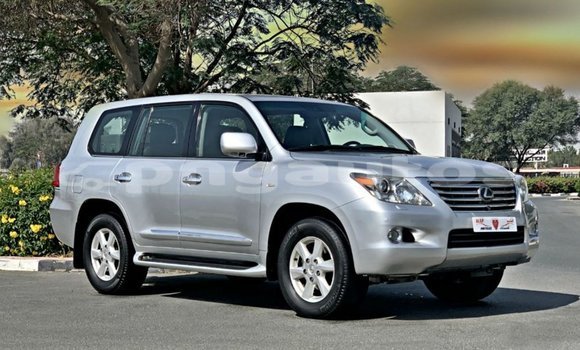 Buy Import Lexus LX Other Car in Import - Dubai in Enga Buy Import Lexus LX Other Car in Import - Dubai in Enga