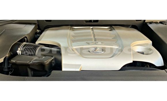 Buy Import Lexus LX Other Car in Import - Dubai in Enga Buy Import Lexus LX Other Car in Import - Dubai in Enga