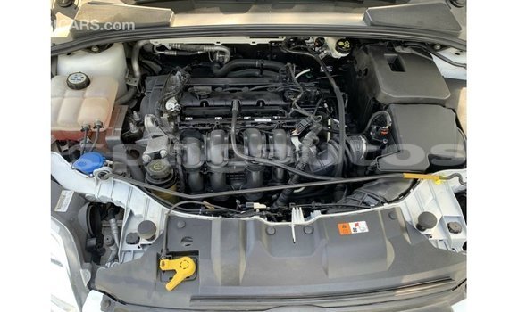 Buy Import Ford Focus White Car in Import - Dubai in Enga Buy Import Ford Focus White Car in Import - Dubai in Enga