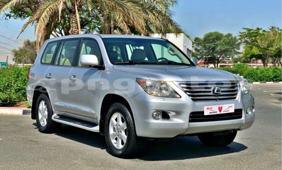 Buy Import Lexus LX Other Car in Import - Dubai in Enga Buy Import Lexus LX Other Car in Import - Dubai in Enga
