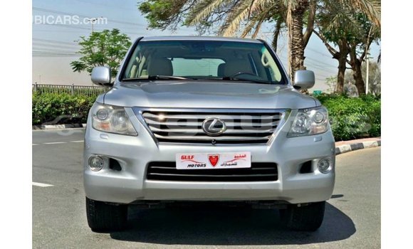 Buy Import Lexus LX Other Car in Import - Dubai in Enga Buy Import Lexus LX Other Car in Import - Dubai in Enga