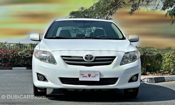 Buy Import Toyota Corolla White Car in Import - Dubai in Enga Buy Import Toyota Corolla White Car in Import - Dubai in Enga