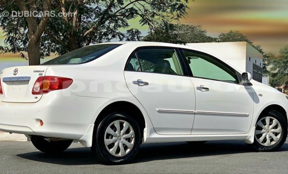 Buy Import Toyota Corolla White Car in Import - Dubai in Enga Buy Import Toyota Corolla White Car in Import - Dubai in Enga