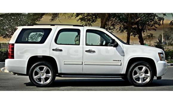 Buy Import Chevrolet Tahoe White Car in Import - Dubai in Enga Buy Import Chevrolet Tahoe White Car in Import - Dubai in Enga