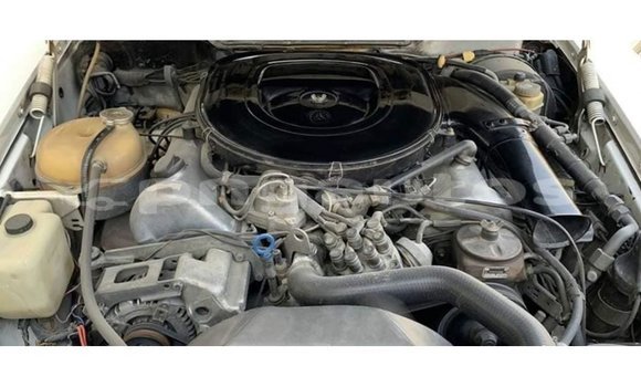 Buy Import Mercedes-Benz 190 White Car in Import - Dubai in Enga Buy Import Mercedes-Benz 190 White Car in Import - Dubai in Enga