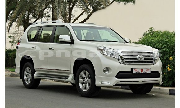 Buy Import Toyota Prado White Car in Import - Dubai in Enga Buy Import Toyota Prado White Car in Import - Dubai in Enga