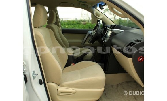 Buy Import Toyota Prado White Car in Import - Dubai in Enga Buy Import Toyota Prado White Car in Import - Dubai in Enga