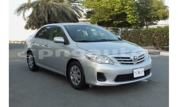 Buy Import Toyota Corolla Other Car in Import - Dubai in Enga
