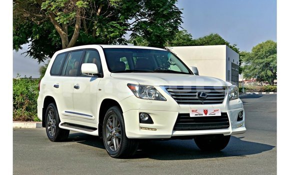 Buy Import Lexus LX White Car in Import - Dubai in Enga Buy Import Lexus LX White Car in Import - Dubai in Enga