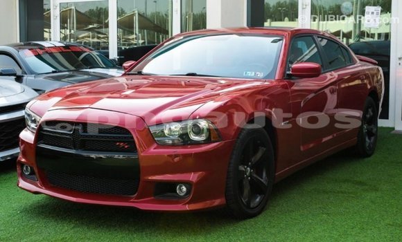 Buy Import Dodge Charger Red Car in Import - Dubai in Enga Buy Import Dodge Charger Red Car in Import - Dubai in Enga