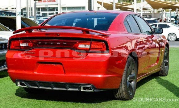 Buy Import Dodge Charger Red Car in Import - Dubai in Enga Buy Import Dodge Charger Red Car in Import - Dubai in Enga
