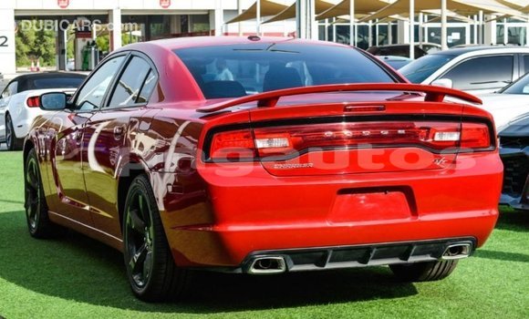 Buy Import Dodge Charger Red Car in Import - Dubai in Enga Buy Import Dodge Charger Red Car in Import - Dubai in Enga