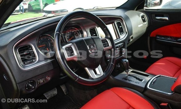 Buy Import Dodge Charger Red Car in Import - Dubai in Enga Buy Import Dodge Charger Red Car in Import - Dubai in Enga