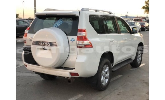Buy Import Toyota Prado White Car in Import - Dubai in Enga Buy Import Toyota Prado White Car in Import - Dubai in Enga