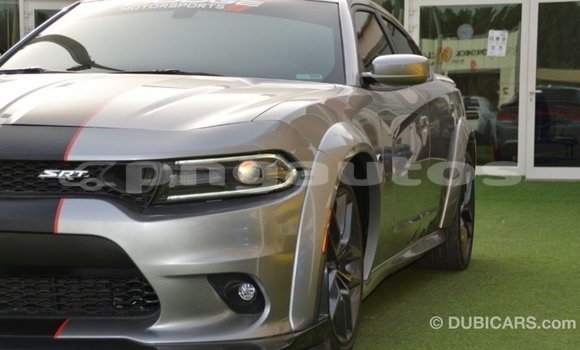 Buy Import Dodge Charger Other Car in Import - Dubai in Enga Buy Import Dodge Charger Other Car in Import - Dubai in Enga