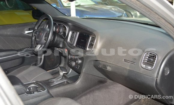 Buy Import Dodge Charger Other Car in Import - Dubai in Enga Buy Import Dodge Charger Other Car in Import - Dubai in Enga