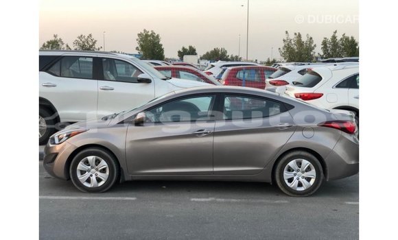 Buy Import Hyundai Elantra Brown Car in Import - Dubai in Enga Buy Import Hyundai Elantra Brown Car in Import - Dubai in Enga