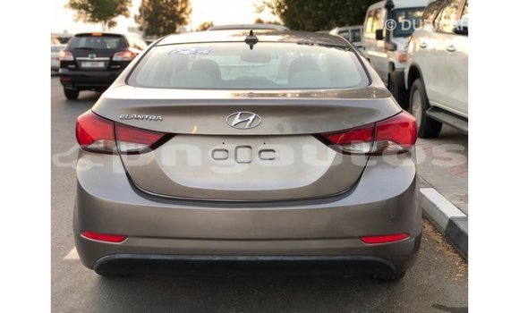 Buy Import Hyundai Elantra Brown Car in Import - Dubai in Enga Buy Import Hyundai Elantra Brown Car in Import - Dubai in Enga
