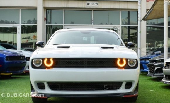 Buy Import Dodge Challenger White Car in Import - Dubai in Enga Buy Import Dodge Challenger White Car in Import - Dubai in Enga