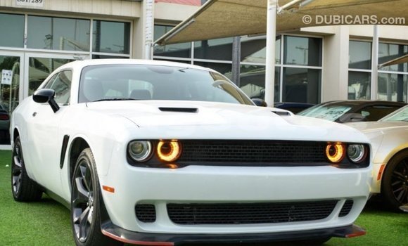 Buy Import Dodge Challenger White Car in Import - Dubai in Enga Buy Import Dodge Challenger White Car in Import - Dubai in Enga